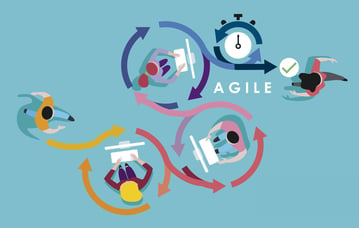 5 Examples Of Successful Agile Companies Stratx Exl 5020